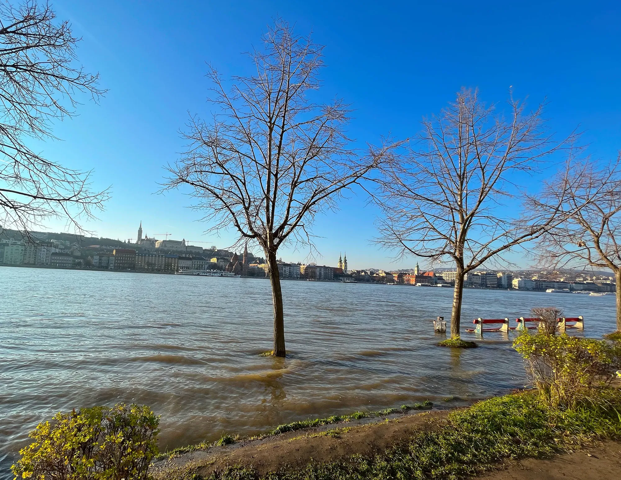 Trees and benches submerged in water overflow from the river