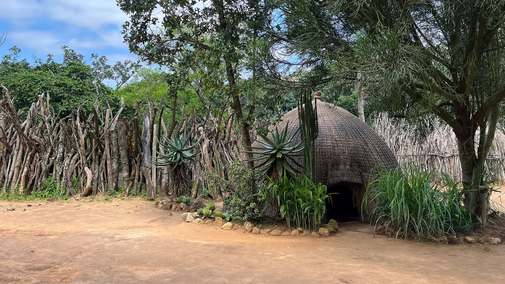 Hut made of grasses surrounded by a fence made of large sticks