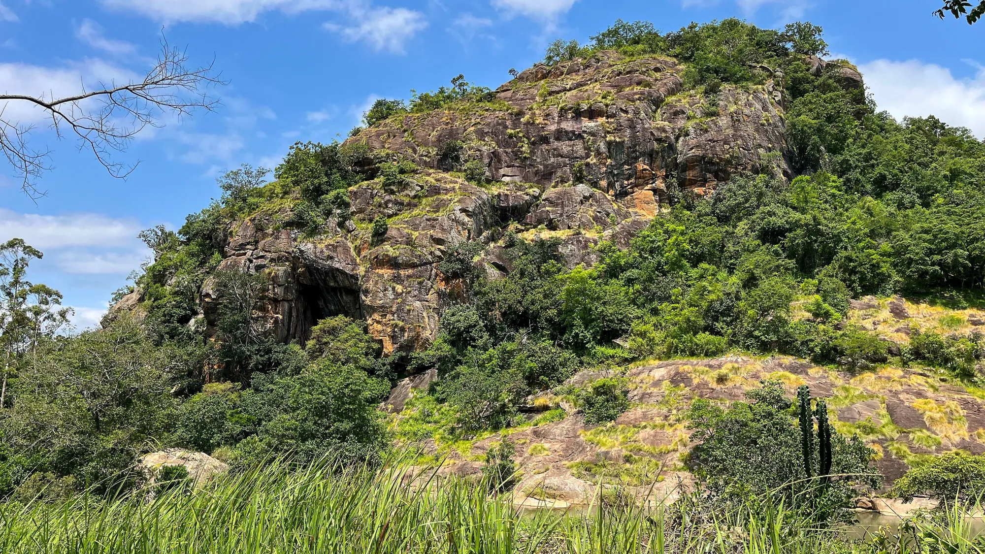 Rockzy hill with bushes and grasses climbing along it