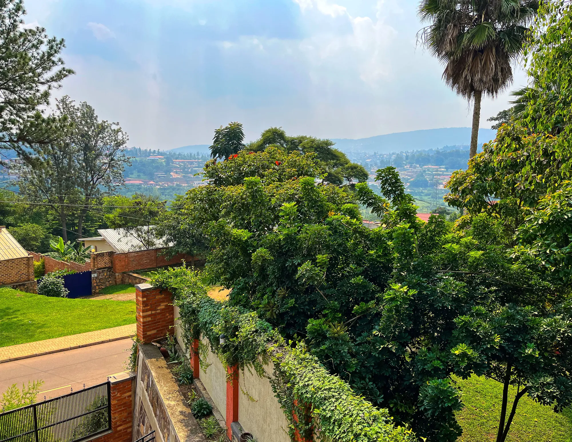 Brick buildings next to greenery overlooking the city