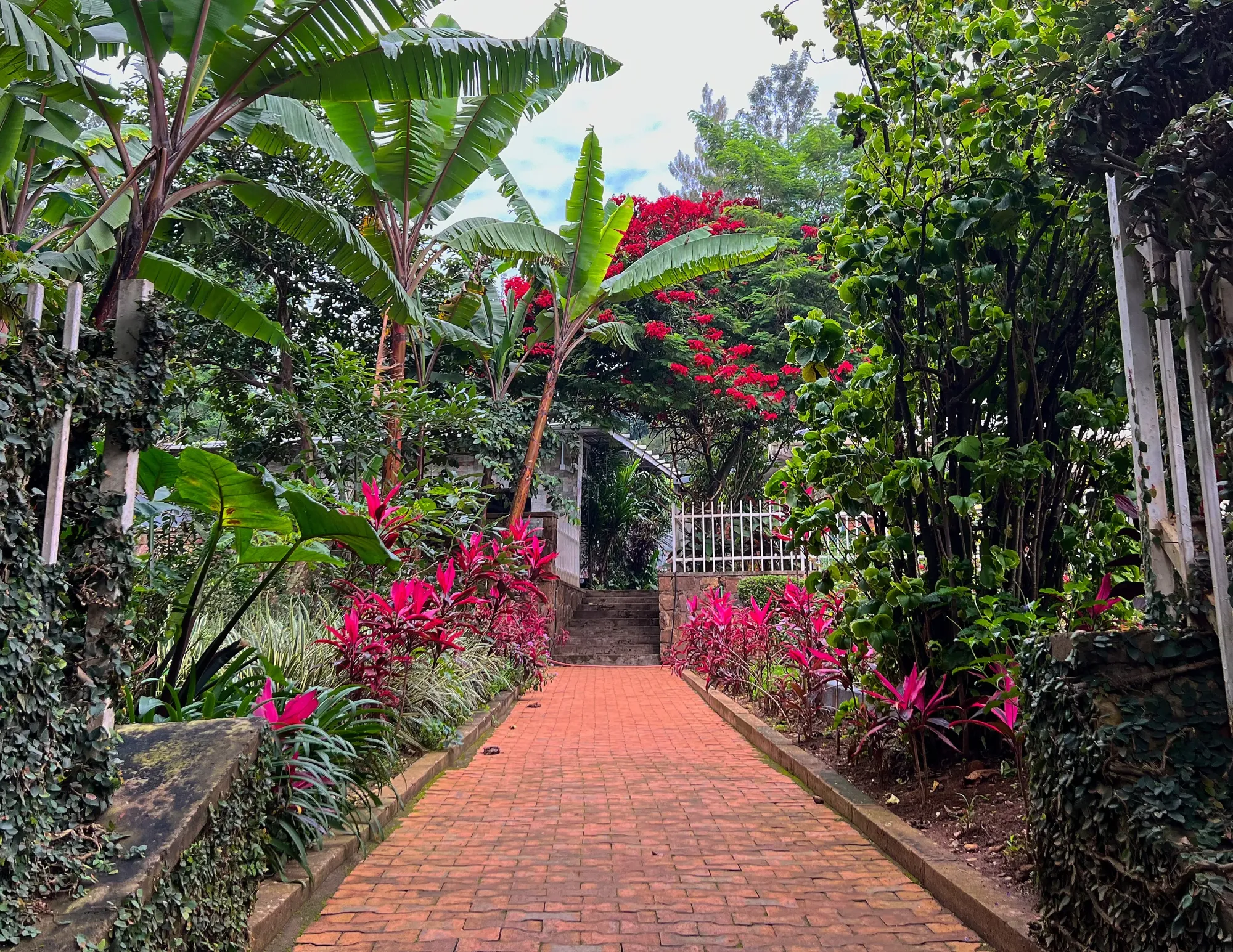 Brick path surrounded by lush green and pink flora