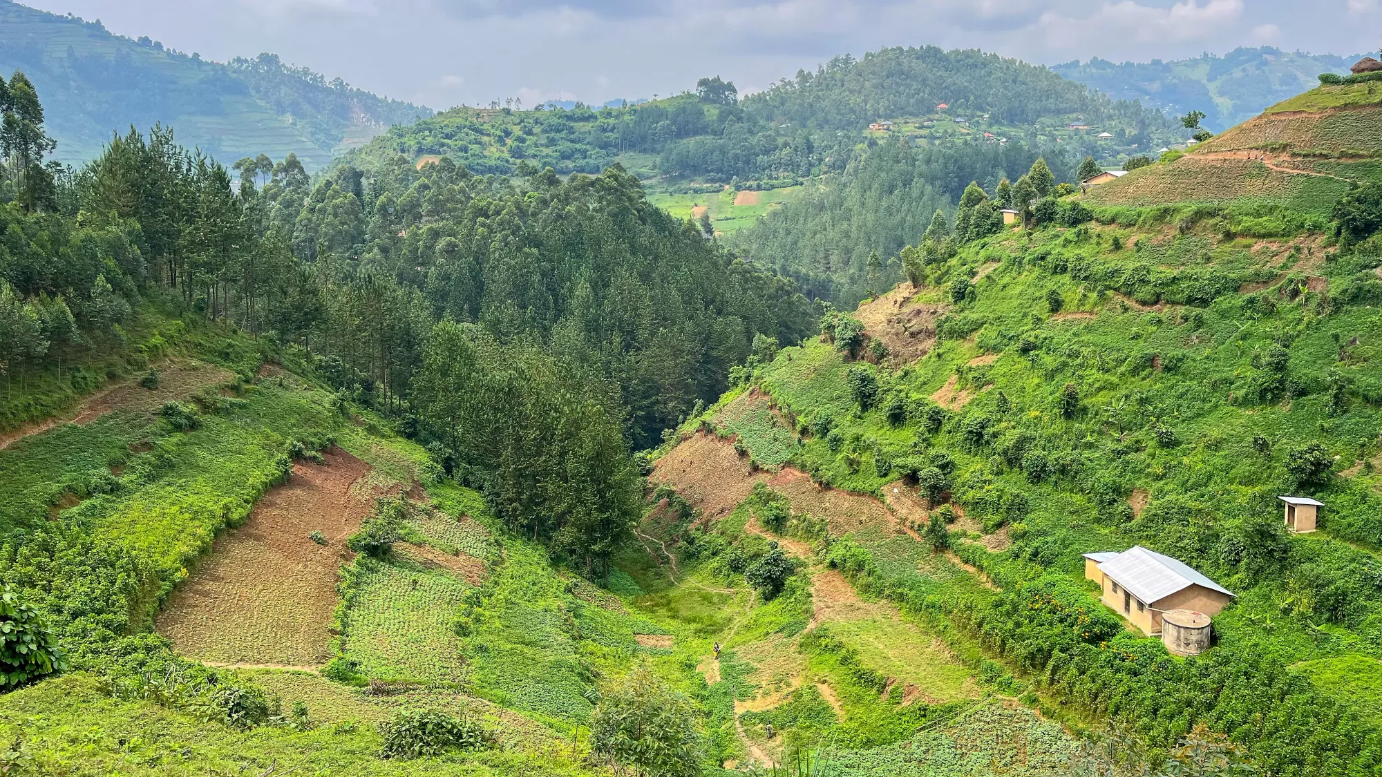 Stripes of farming along a valley split between two hills