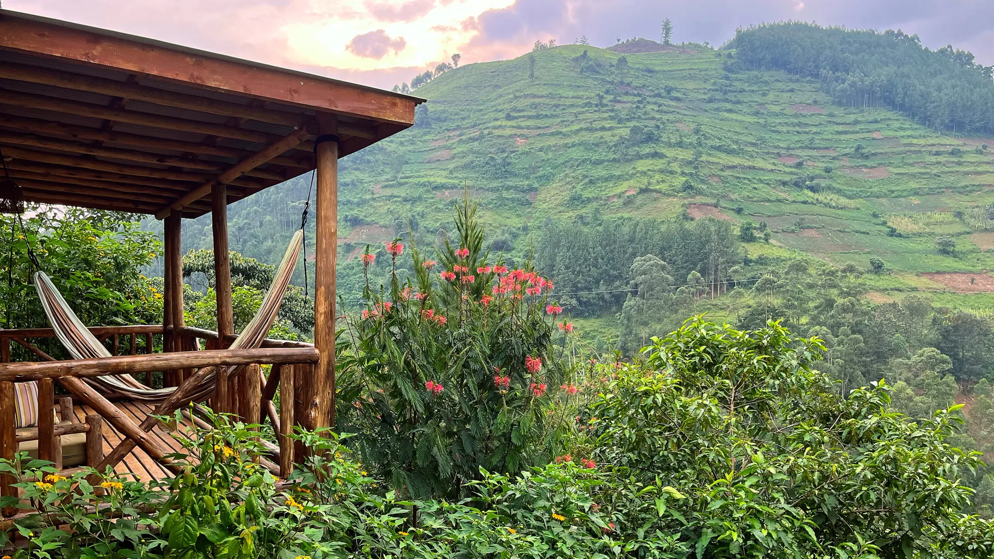 Wooden deck with a hanging hammock in front of lush brush and a striped hill