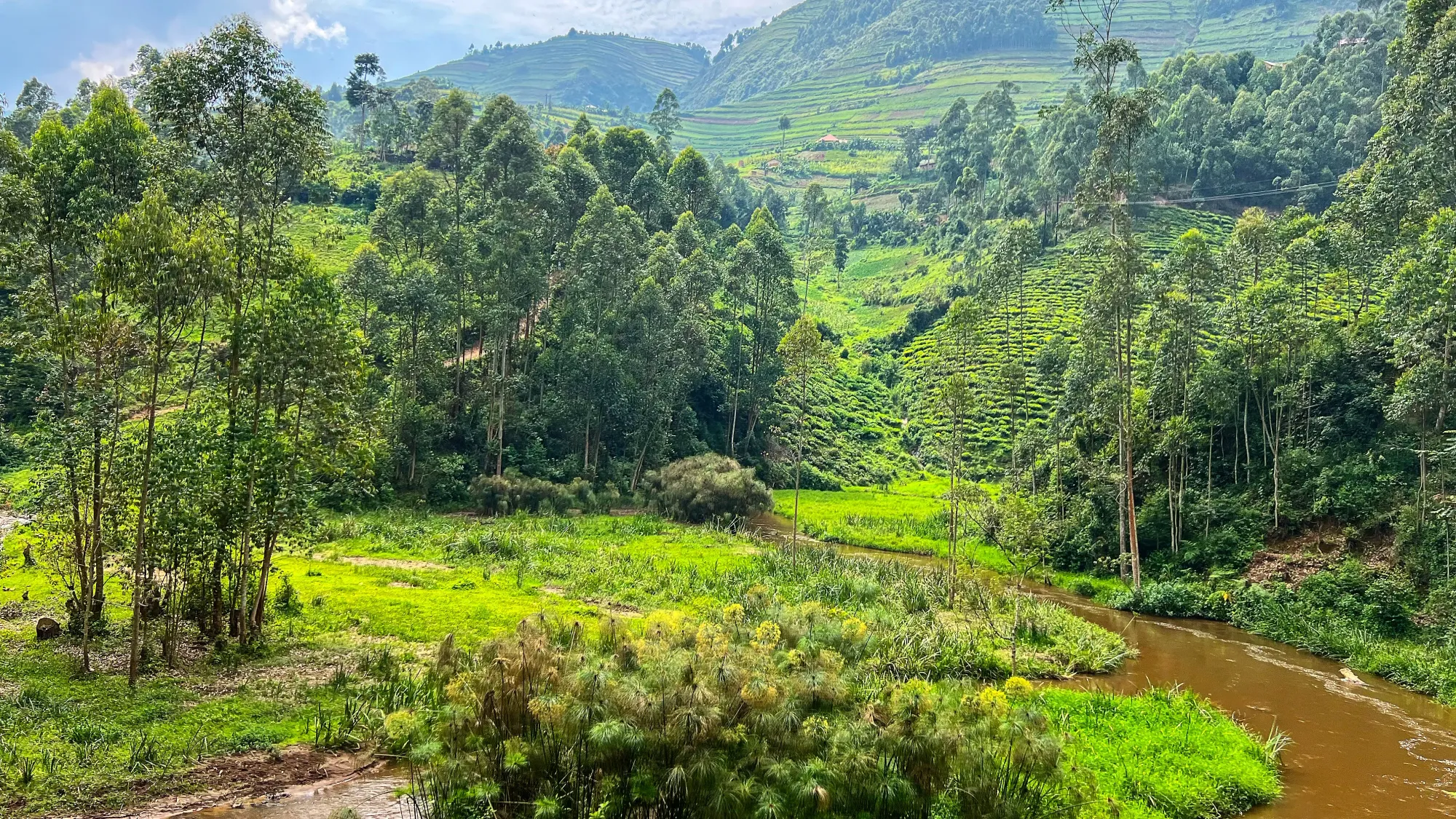 Brown running river with terraced hills behind it