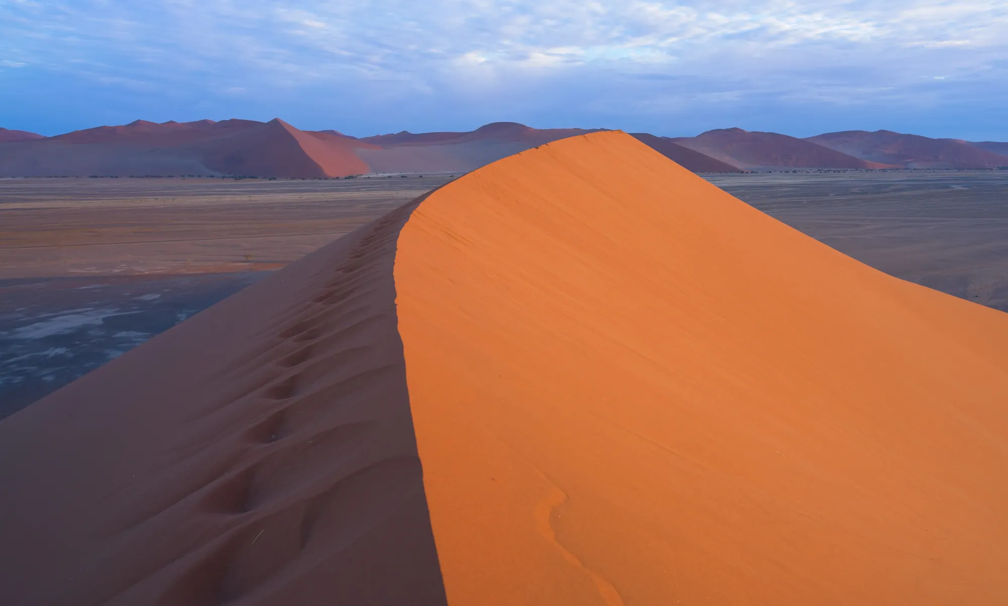 Split between sun lit side of the dune and shadowed backside