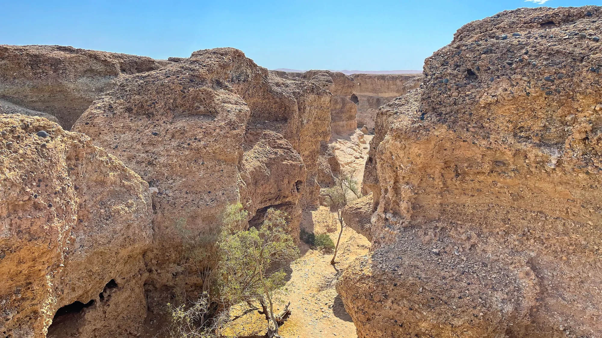 Sandy rocks walls with a gorge running between them and trees growing in the center