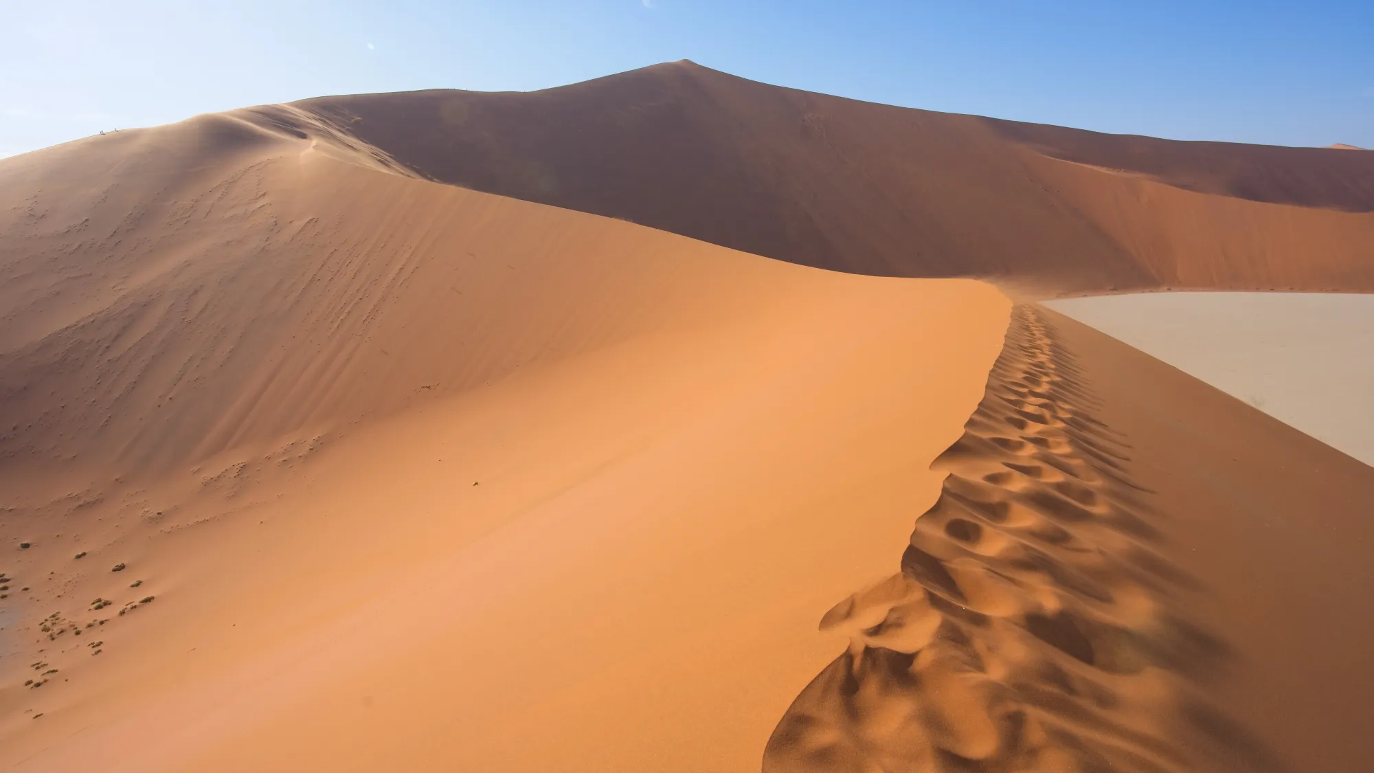 Windswept dunes during daylight with white clay off to the right