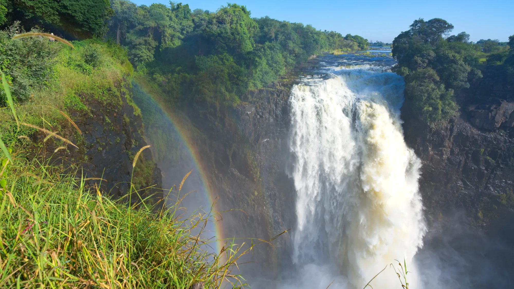 Rushing waterfall with grasses and a rainbow in the foreground