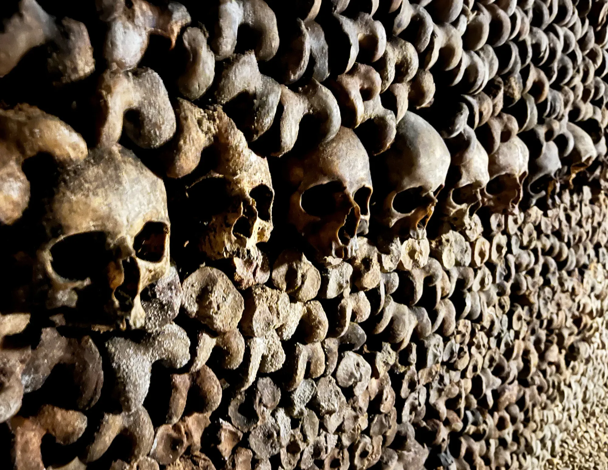 Skulls stacked among other human bones