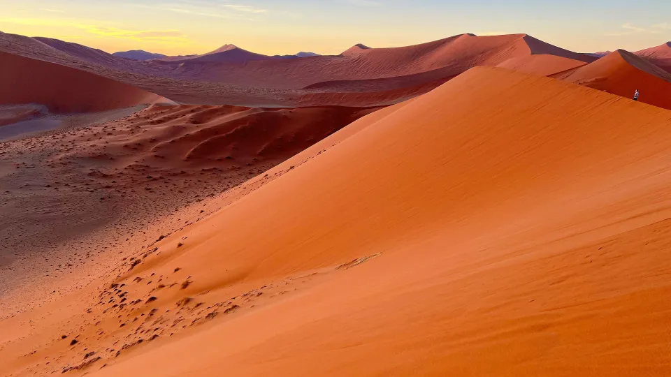 Orange colored sand dunes